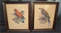 2 pcs Vintage J Keulemans Colored Bird Prints