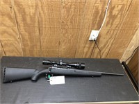 Savage Axis Cal. 223 Bolt Action Redfield 6-18x44