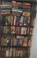 Fiction and More Book Lot