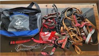 Leader dog bag, leashes and collars