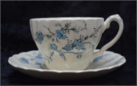 Myott England Staffordshire Ware Tea Cup & Saucer