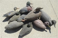 Plastic and Styrofoam Duck Decoys Including Some