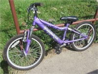 Iron Horse aner Peak Purple Bike.