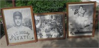 (3) Sports Related Framed Pictures. MSU Baseball