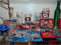 Group of Dale Jr racing items SEE PICS