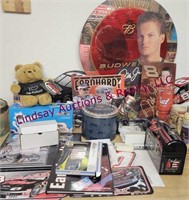 Group of misc Dale E & Jr items SEE PICS