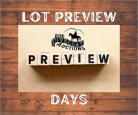 Preview Days