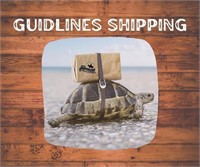 Shipping Guidelines