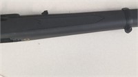 Ruger 10/22 Semi Auto Rifle