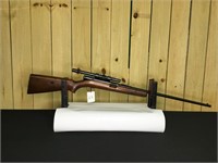 Winchester 74 22LR