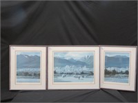 3 FRAMED PRINTS (1 LTD ED SIGNED PETER EWART)