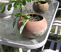 Earthenware planter