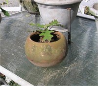 Earthenware planter