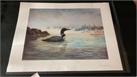 Lake Loon Unframed Limited Edition Print 18/22/P/P
