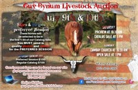 Guy Bynum Livestock Stars and Stripes Session