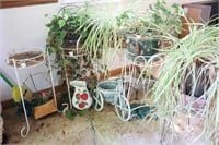 Live Plants, Stands, Tomato Planter