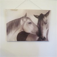 Horse photo/print on Canvas - 28 x 20"