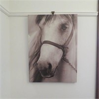 Horse /photo print on Canvas-28 x 20"
