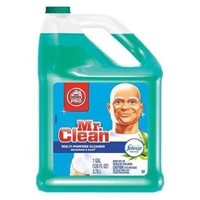 Mr. Clean Home Pro 1 Gal. Meadows and Rain Scent M