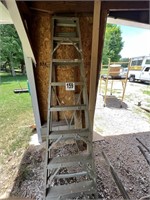 Aluminum Craftsman Step Ladder