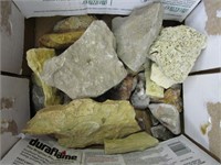 Fossil Rocks