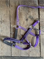 Purple bling horse size halter