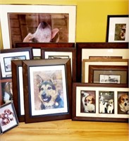 Collection of Framed Dog Pictures and Frames