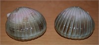 (BS) Clam Shell Shakers