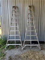 2 -  10' ORCHARD LADDERS