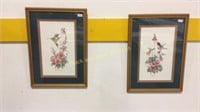 Two Hummingbird Prints in Frames