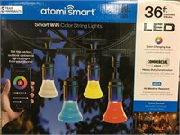 AtomiSmart 36ft. LED Color String Lights