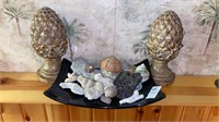 Bookends, shells, and dish