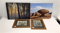 Wall art lot featuring photos of nature in frames