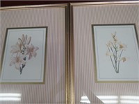 Pair of Floral Prints Gold Frames 21x17"