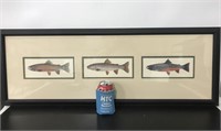 Black framed trout fish artwork