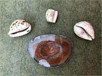 Shells & Geode