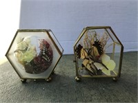 (2) Fancy Brass Cased Butterfly Displays