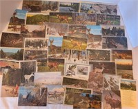 Vintage Deer Postcards
