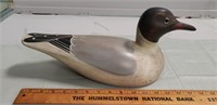 Laughing Gull Wooden Decoy