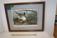 Christopher B. Walden Signed & Numbered Duck Print