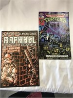 1985 Ninja Turtle # 1 Of 1 Issue And Archie