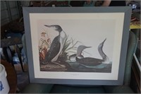 Framed Duck Picture