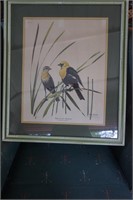 Framed and Matted Yellow Headed Black Bird Picture