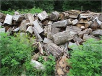 Large Lot of Fire Wood