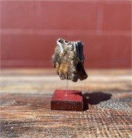 Ancient Wooly Rhinoceros tooth, well preserved, on