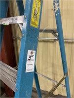 Werner 6ft Fiberglass Ladder
