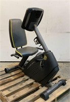 Gold's Gym Recumbent Exercise Bike Power Spin 230