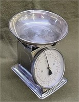 Taylor Stainless Steel Analog Scale