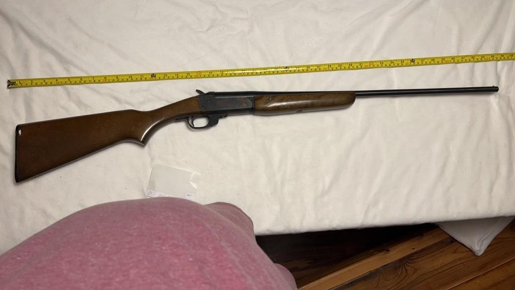 LARGE GUN, AND AMMO ONLINE AUCTION