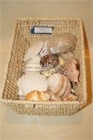 Basket of Beautiful Seashells & Sand